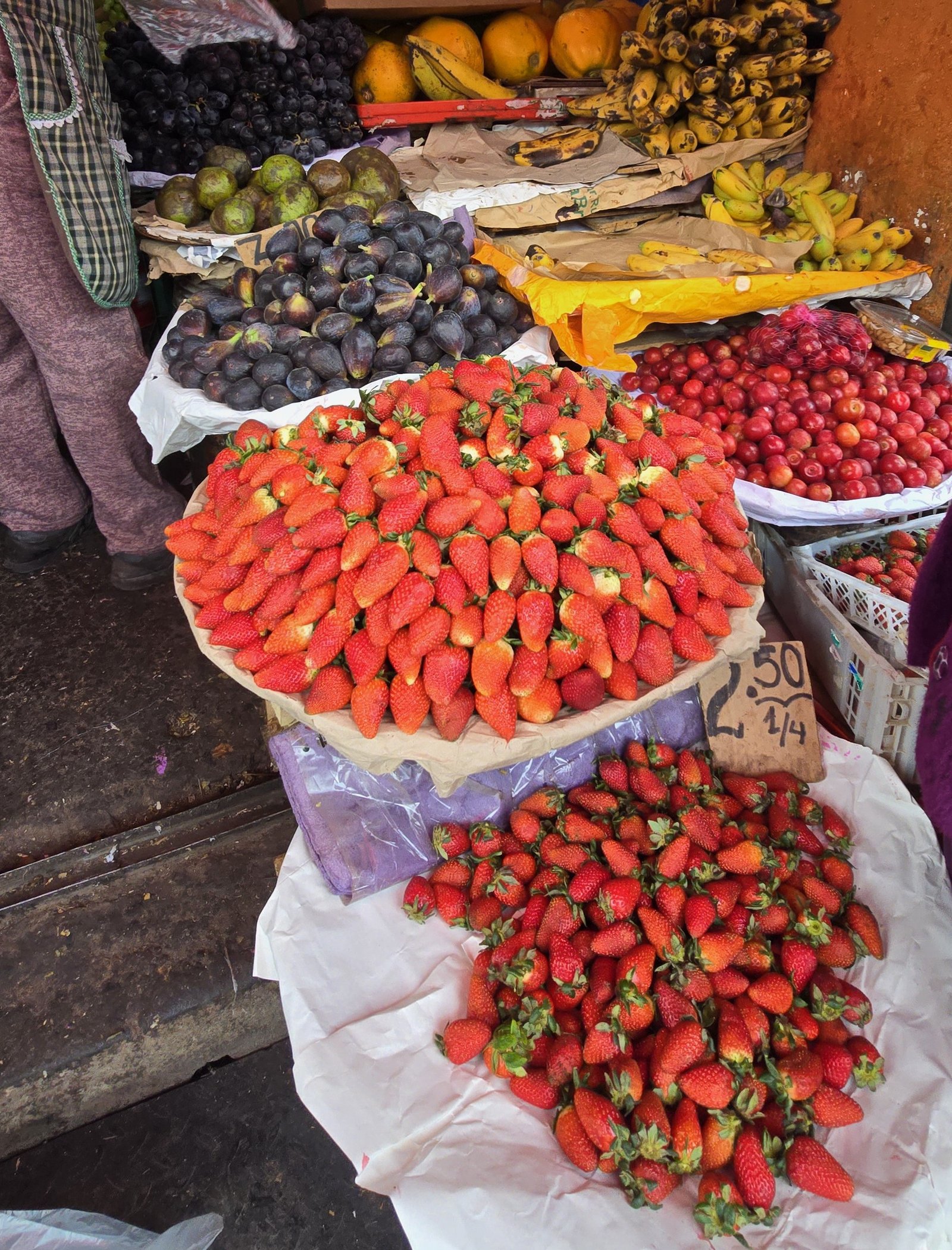 Feira local de frutas frescas em uma das viagens