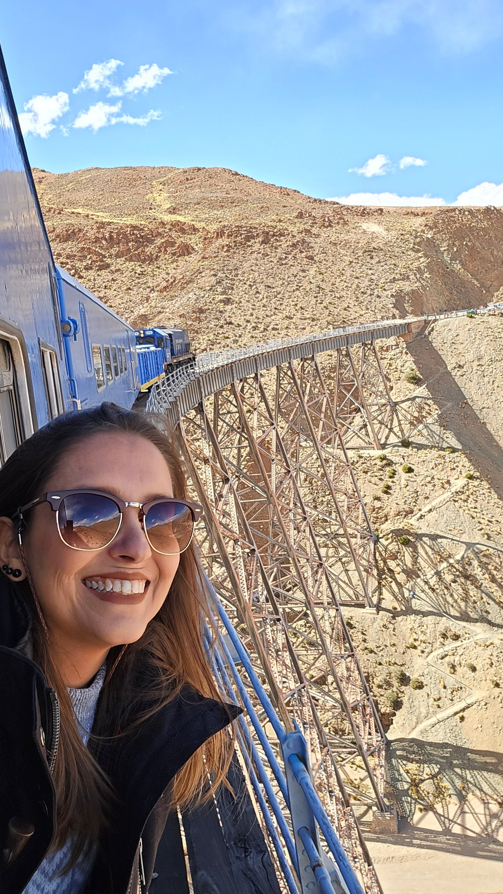 Tren a las Nubes: o guia que eu queria ter antes de subir a 4.220 metros